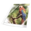 Genotherm A/4 lefűzhető víztiszta színes szélű DURABLE PRÉMIUM 80 mikron fehér