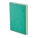 Agenda B/5 heti ACE A011 menta