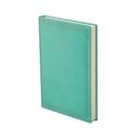 Agenda B/5 heti ACE A011 menta
